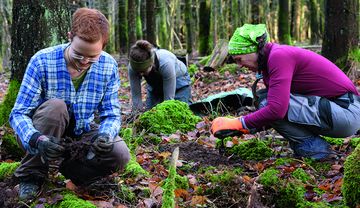 Mit einem internationalen Programm den Wald retten