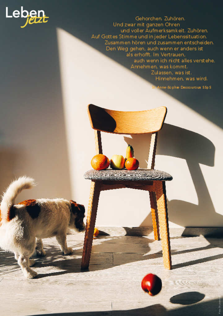 Leben jetzt Poster 02/2026, Leben_jetzt_Poster_2026_02.pdf, 2 MB