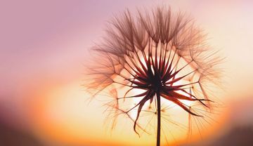 Fürchtet Euch nicht