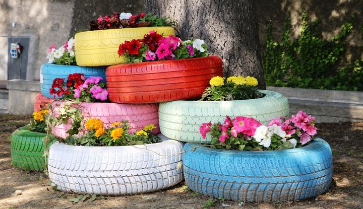 Blumen bl&uuml;hen in alten Reifen