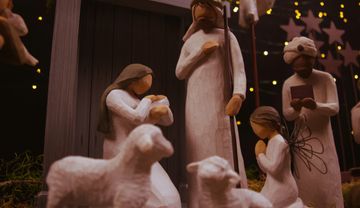 Schafe gehören zur Weihnachtskrippe