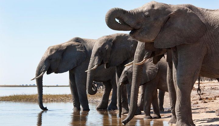 In Botswana setzen sich die Steyler f&uuml;r Kinder ein.