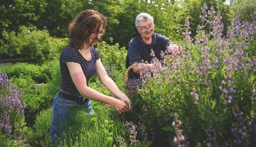 Zwei Frauen bei der Gartenarbeit