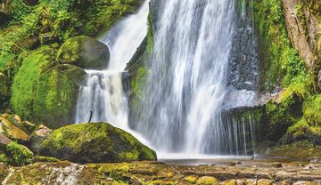 Sollen wir wirklich alles verzeihen?