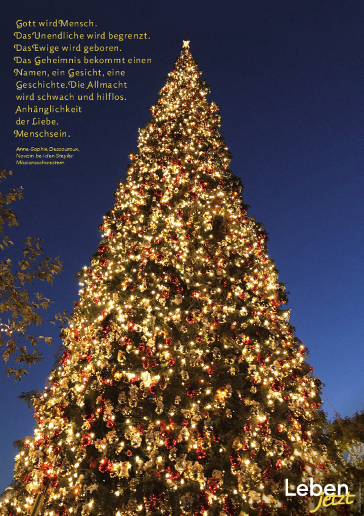 Leben jetzt Poster 12/2025, Leben_jetzt_Poster_2025_12.pdf, 2 MB