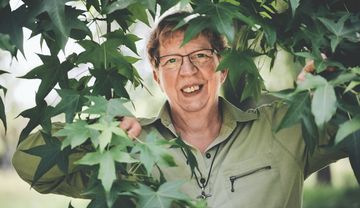 Heilkräuter, die der Haut guttun