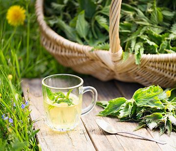 Eine Tasse Tee, umgeben von Kräutern