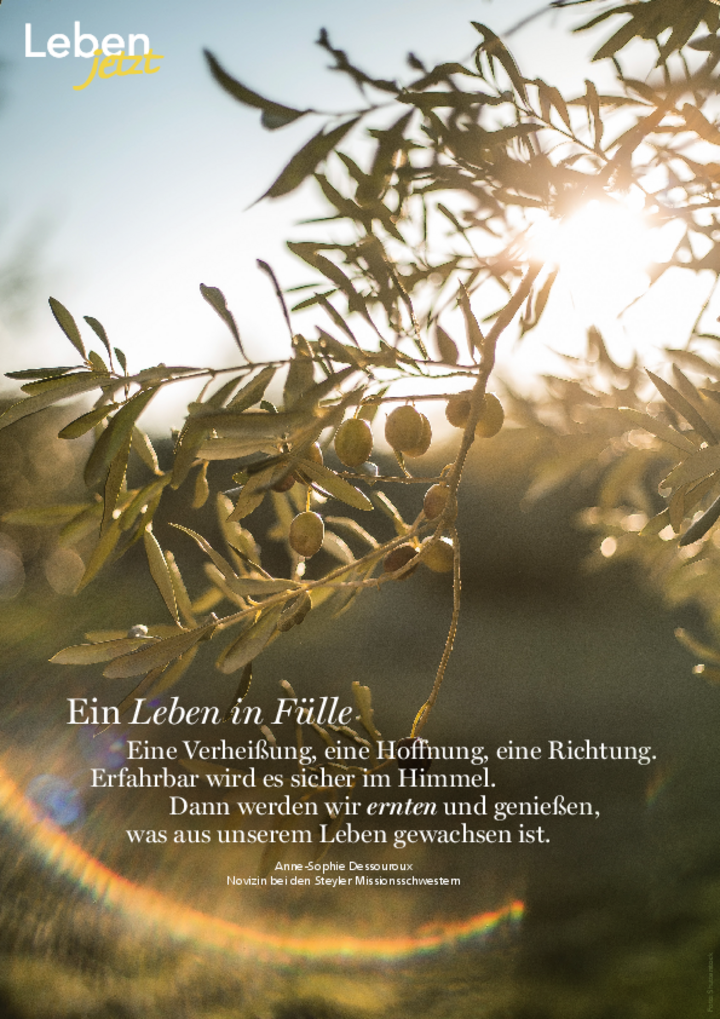 Leben jetzt Poster 10/2025, Leben_jetzt_Poster_2025_10.pdf, 2 MB