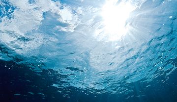 Wenn der Partner früh stirbt: Witwe mit 47