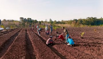 Menschen bei der Feldarbeit