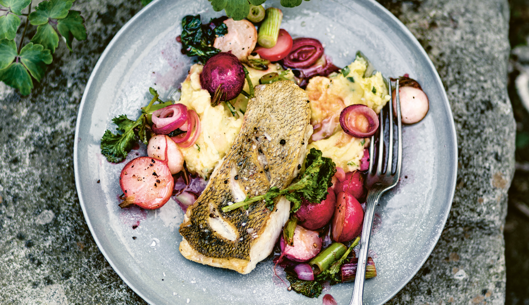 Frühling auf dem Teller: Zanderfilet mit Radieschen und Püree Foto vom Zander auf Püree mit Radieschen