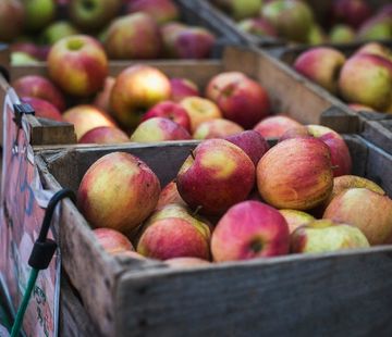 Schwester Bernadettes Apfel-Kur