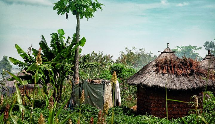 Das Fl&uuml;chtlingscamp Bidi Bidi liegt im Nordwesten Ugandas