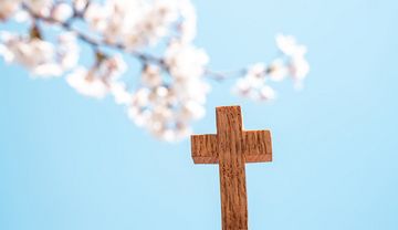 Ein Holzkreuz in der Natur