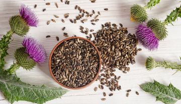 Mariendistel stärkt Leber und Galle