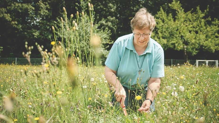 Wie lassen sich Stachelbeeren am besten verarbeiten, Schwester Bernadette?