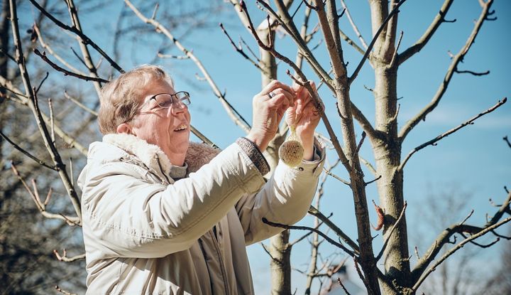 Schwester Bernadettes Klosterrezepte bewahren alte Obst- und Gem&uuml;sesorten und Gew&uuml;rze vor dem Vergessen