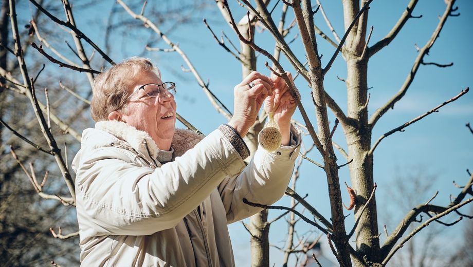 Schwester Bernadettes Klosterrezepte bewahren alte Obst- und Gemüsesorten und Gewürze vor dem Vergessen