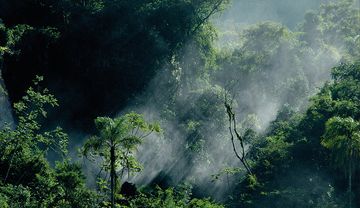 In Argentinien unterstützen die Steyler die Guaranì.