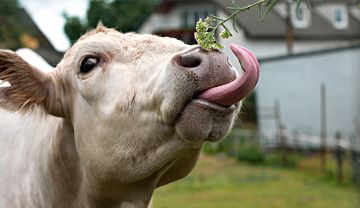 Warum Überraschungen auch ihr Gutes haben