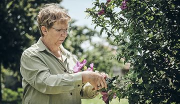 Die Steyler Schwester Bernadette Dunkel ist Expertin für Heilkräuter