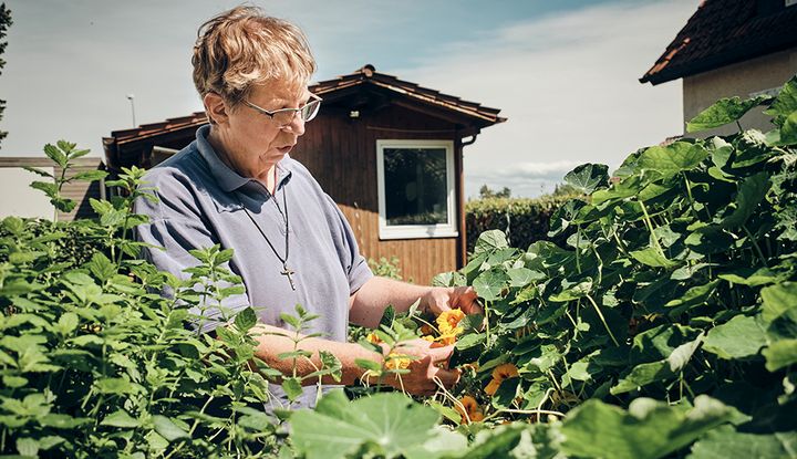 Schmackhaft und gesund: Kapuzinerkresse