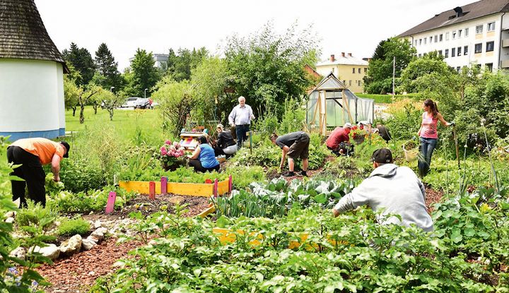 Drogentherapie im Klostergarten