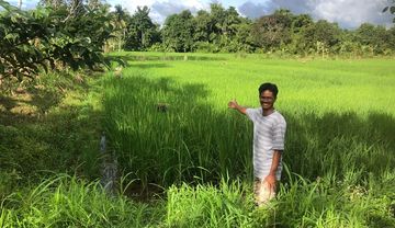 Steyler gründen Kooperative für biologischen Landbau auf den Philippinen