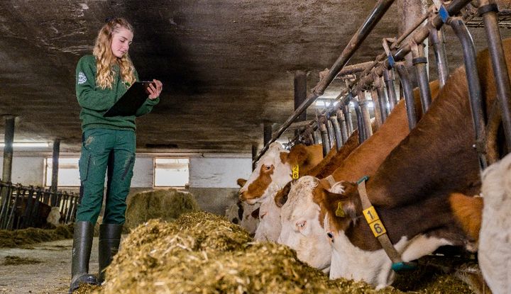 Alexandra Kohlbauer arbeitet als Betriebshelferin