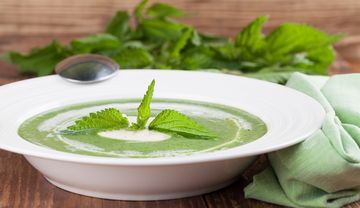 weißer Teller mit grüner Suppe, garniert mit Brennnesselblättern, daneben ein Bund Brennnesseln und eine Stoffserviette