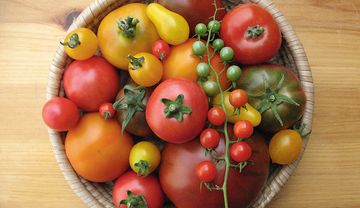 Fünf vor zwölf für die Pflanzen