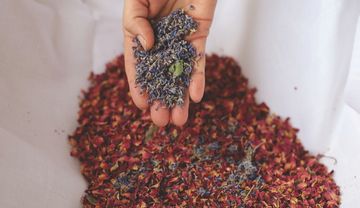 Getrocknete Kräuter für einen Tee